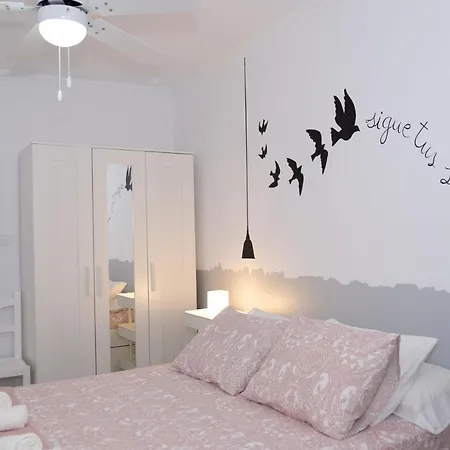 Apartamento En Zona Privilegiada Appartement *